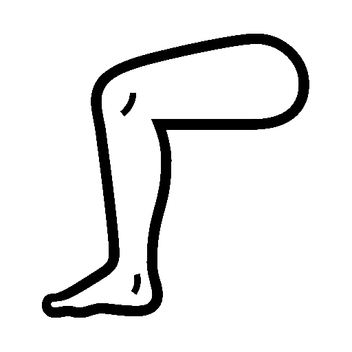 Leg as drawn by Noto Emoji in 16.0