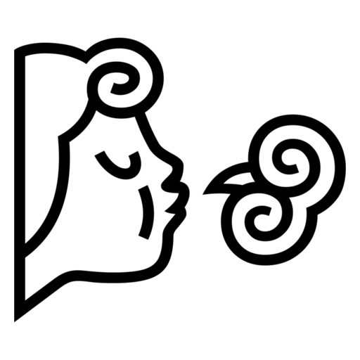 Wind Face as drawn by Noto Emoji in 17.0