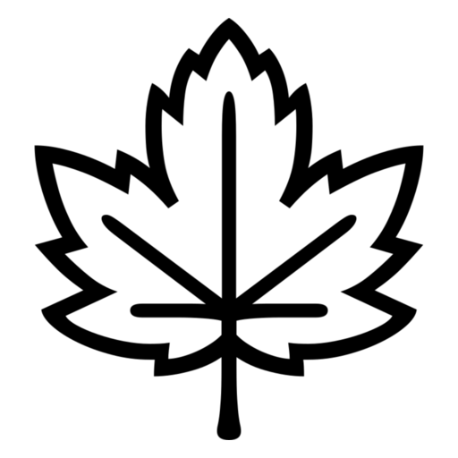 Maple Leaf as drawn by Noto Emoji in 17.0