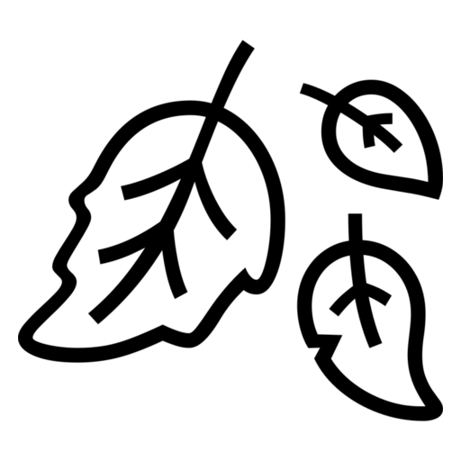 Foglia Caduta as drawn by Noto Emoji in 17.0