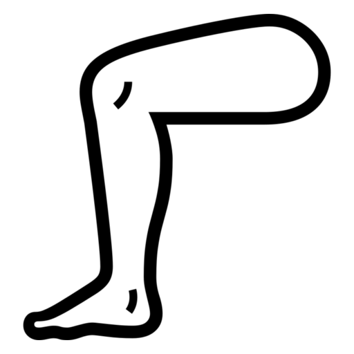 Leg as drawn by Noto Emoji in 17.0