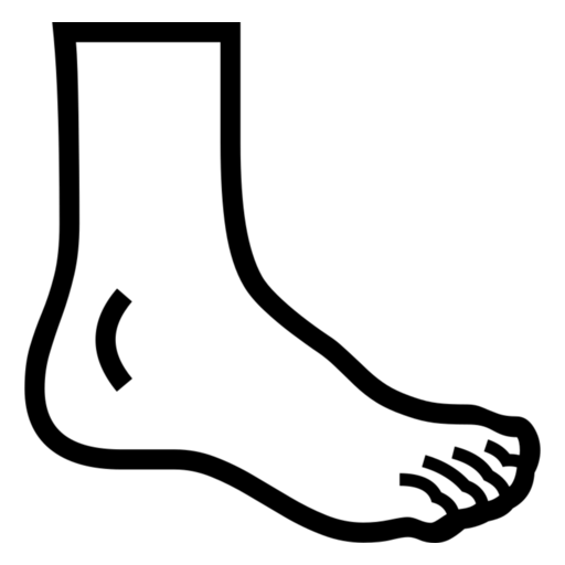 Foot as drawn by Noto Emoji in 17.0