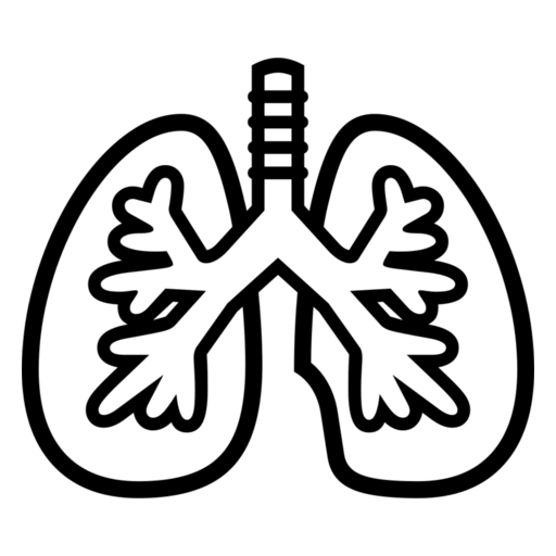 Lungs as drawn by Noto Emoji in 17.0