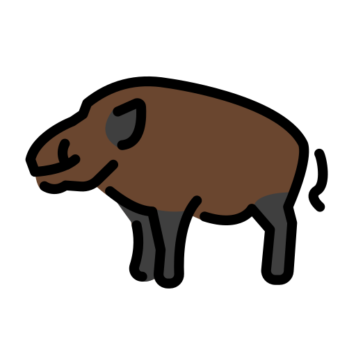 Boar as drawn by OpenMoji in 12.2