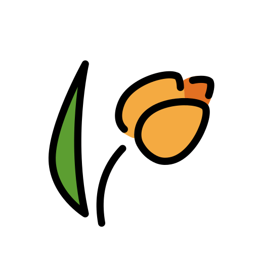 Tulip as drawn by OpenMoji in 13.0