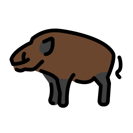Boar as drawn by OpenMoji in 15.0