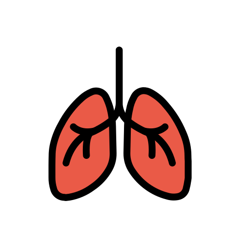 Lungs as drawn by OpenMoji in 15.1