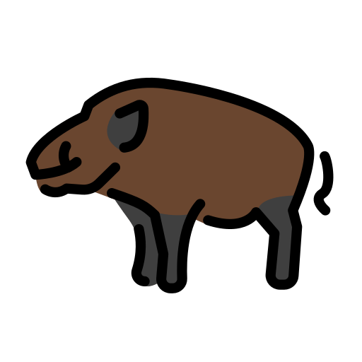 Boar as drawn by OpenMoji in 16.0