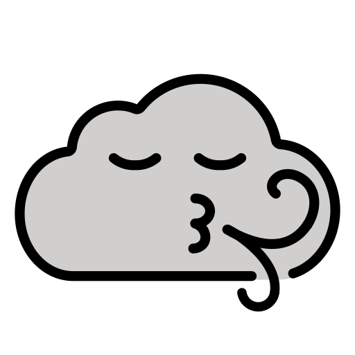 Wind Face as drawn by OpenMoji in 17.0