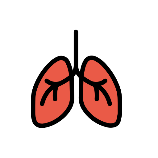 Lungs as drawn by OpenMoji in 17.0