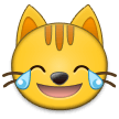 Cat with Tears of Joy, the design in this release