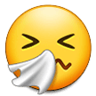 Sneezing Face, the design in this release