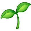 seedling as rendered by Samsung