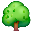 落葉樹 as rendered by Samsung
