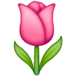 tulipán as rendered by Samsung