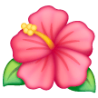 Hibiskus as rendered by Samsung