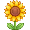 Sonnenblume as rendered by Samsung