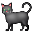 black cat as rendered by Samsung