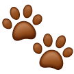 paw prints as rendered by Samsung