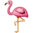 fenicottero as rendered by Samsung