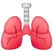 lungs as rendered by Samsung