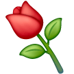 Flower as rendered by Samsung