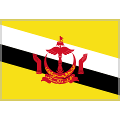 Flagge: Brunei Darussalam as rendered by Skype