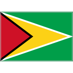 flag: Guyana as rendered by Skype