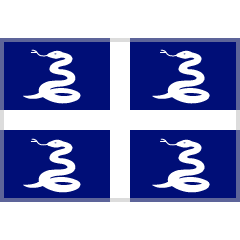 flag: Martinique as rendered by Skype
