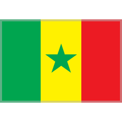 Flag: Senegal as drawn by Skype in 1.2