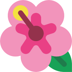 Hibiscus as drawn by Skype in 1.2