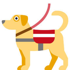 service dog as rendered by Skype