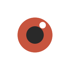 eye as rendered by Skype