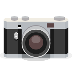 camera as rendered by Skype