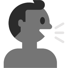 sprechender Kopf as rendered by Skype