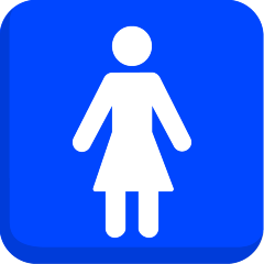women’s room as rendered by Skype