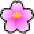 Cherry Blossom, the previous design