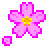 Cherry Blossom, the design in this release