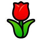 tulipán as rendered by SoftBank