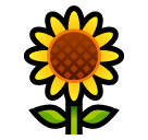 Sonnenblume as rendered by SoftBank