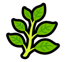 herb as rendered by SoftBank