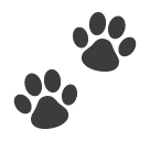 Paw Prints, the design in this release