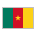 Flag: Cameroon as drawn by Sony in 13.1