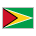 flag: Guyana as rendered by Sony
