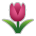 tulipán as rendered by Sony