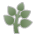 herb as rendered by Sony