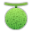 Melon as drawn by Sony in 13.1