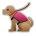 service dog as rendered by Sony