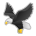 Eagle as drawn by Sony in 13.1