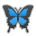 butterfly as rendered by Sony
